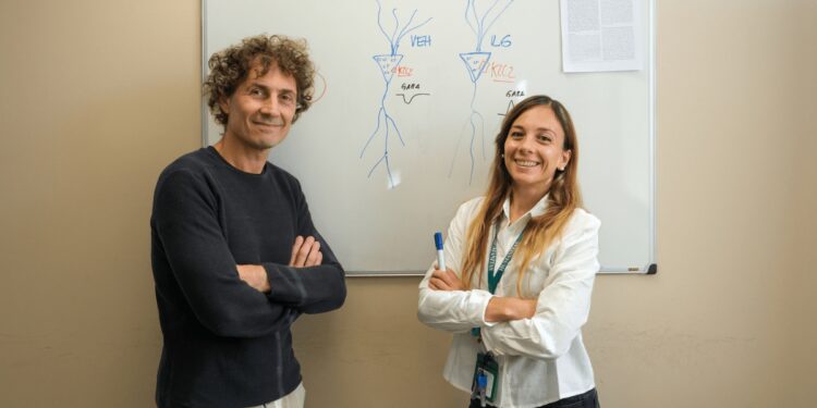 Così le infiammazioni in gravidanza minacciano il neurosviluppo, un marker può predire il rischio