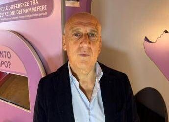 Farmaci, Agostiniani (Sip): “Contro Rsv nuova opportunità per pediatri”