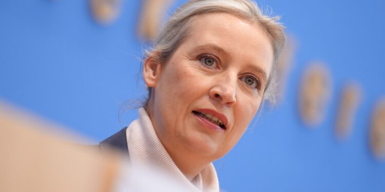 Il ‘nuovo patto per l’Europa’ di Afd per smantellare l’Ue: niente elezioni, Commissione senza poteri e Stati sovrani