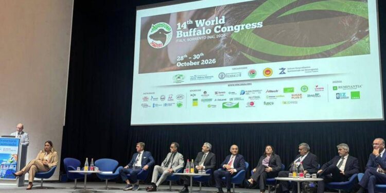 Mozzarella Dop e AI, dal World buffalo congress la road map per il futuro