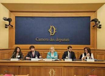 Nasce l’alleanza per l’innovazione nel tumore gastrico, 7 azioni per costruire un percorso nazionale di cura