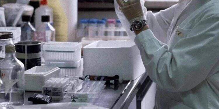 Nefropatia da IgA, monoclonale umanizzato preserva funzione renale