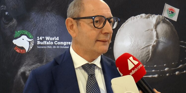 Raimondo (Tutela mozzarella bufala campana Dop): “Filiera 1,2-1,3 mld, quasi una Fiat”