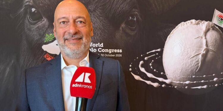 Saccani (Consorzio Mozzarella Bufala Campana Dop): “Per esportare di più serve innovazione”