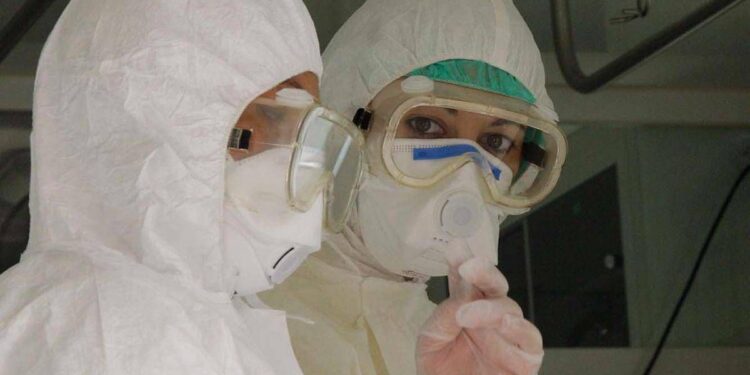 Virus Shamonda, Oms: “Diffusione improbabile”. Lopalco: “È favorito da crisi climatica, svegliamoci”