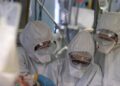 Virus Shamonda, “no casi umani in Italia, attenzione rafforzata”: la circolare del ministero dell a Salute
