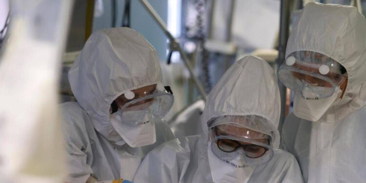 Virus Shamonda, “no casi umani in Italia, attenzione rafforzata”: la circolare del ministero dell a Salute