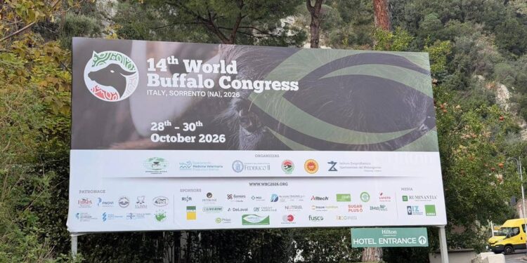 ‘World Buffalo Congress’ road map per futuro con meno burocrazia e più innovazione